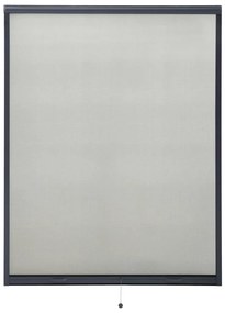 vidaXL Raamhor oprolbaar 120x170 cm antracietkleurig