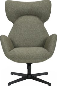 Kantelbare Fauteuil Groen
