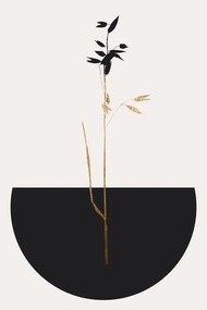 Ilustratie Planta Negra, Kubistika