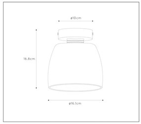 Lucide Tyler plafondlamp 33W smoke glas goud