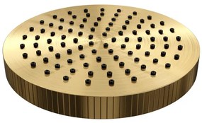 BRAUER Stripe Regendouchekop - 25cm - goud geborsteld PVD 5-GG-466