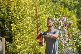 Black&amp;Decker Heggenschaar 650W - 60cm BEHTS551