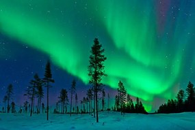 Foto Aurora Borealis  Northern Lights Sweden, Dave Moorhouse, (40 x 26.7 cm)