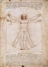 De Vitruviaanse man Kunstdruk, Leonardo Da Vinci, (50 x 70 cm)