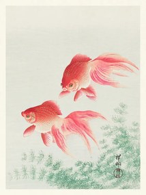 Kunstreproductie Two Veil Goldfish (Japandi Vintage) - Ohara Koson