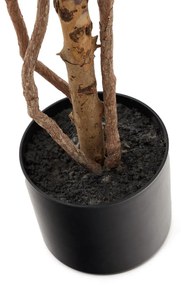 Kave Home Ficus Grote Ficus Kunstplant 180 Cm