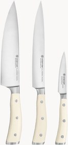 Messenset Classic Icon van edelstaal, 3-delig