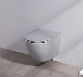 Saniclear Itsie mat grijze toiletpot randloos met softclose zitting