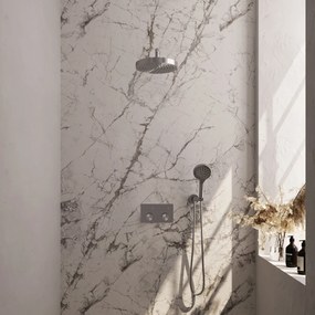 Brauer Stripe inbouw regendouche met 25cm hoofddouche, gebogen muurarm en 3 standen handdouche set 29 RVS geborsteld PVD