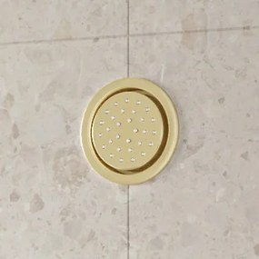 Saniclear Brass inbouw massage jet rond geborsteld messing - mat goud