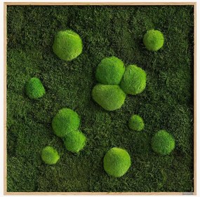 Handgemaakte mos- en bolmoswanddecoratie Wild, ingelijst