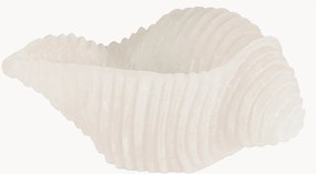 Handgemaakte kaars Cargol van schelp