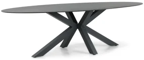 Dining Tuintafel ovaal 280 x 118 cm Aluminium/HPL Grijs Santika Ellisse