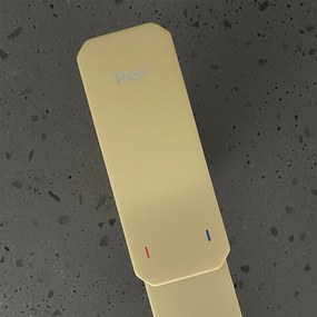 Wastafelkraan REA Arlo Brush Gold