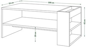 NEFRI Eik Bruin/Zwart Mat - MODERNE KOFFIETAFEL MET LEGPLANK