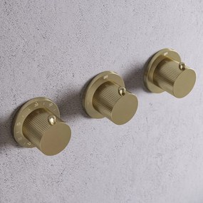 Saniclear Plus Stripes thermostaatkraan afbouwdeel geborsteld messing - mat goud