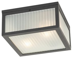 Buiten plafondlamp zwart met ribbel glas 2-lichts IP44 - Charlois