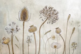 Foto Growing old, Mandy Disher, (40 x 26.7 cm)