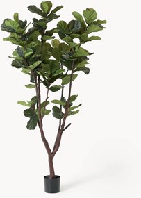 Kunstplant Fiddle Leaf Fig