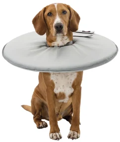 TRIXIE Huisdieren beschermkraag L 24 cm