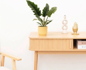 Philodendron Narrow Escape - 40 cm