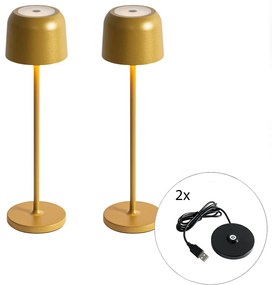 Buitenlamp met dimmer LED Set van 2 tafellamp met dimmeren mushroom goud incl. laadstation - Raika Modern IP65 Buitenverlichting Lamp