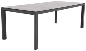 Baltimor dining tuintafel 220x100 cm.