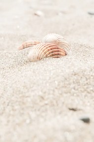 Foto Beach_014, Studio III