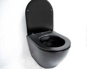 SaniGoods Apollo mat zwarte toiletpot inclusief zitting anti-kalk 48cm