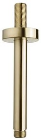 Mueller Gold inbouw regendouche rond met 20cm hoofddouche en plafondarm 15cm messing geborsteld