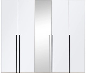 Goossens Kledingkast Easy Storage Ddk, Kledingkast 253 cm breed, 220 cm hoog, 4x glas draaideur en 1x spiegel draaideur midden