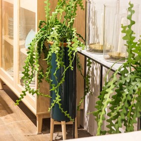 Bloempot op poot in hevea, H70cm, Florian