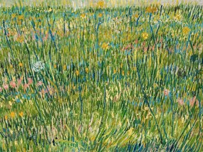 Kunstdruk A Patch of Grass - Vincent van Gogh, (40 x 30 cm)
