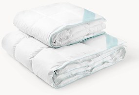 Zuiver donzen dekbed Premium, vier seizoenen