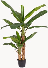 Kunstplanten Banana, 2-delig