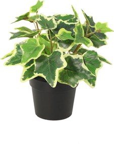 Kunst White Ivy - 19cm