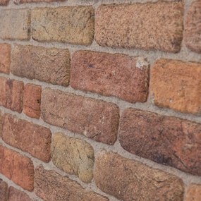 3D Wandpaneel EPS Rood/Oranje L1713 100x50x2cm | Paneli 3d wandpanelen