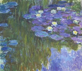 Kunstreproductie Water-Lilies (1914), Claude Monet