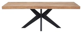 DTP Home Masterpiece Newton Teak Houten Eettafel Met Spinpoot 220 Cm - 220 X 100cm.