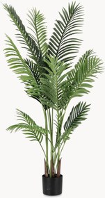 Kunstplanten Kenzia, 2-delig