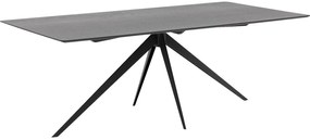 Goossens Excellent Eettafel Uniek, Rechthoekig 200 x 100 cm