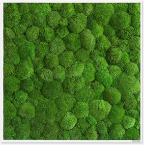 Handgemaakt bolmos wanddecoratie Forest, ingelijst