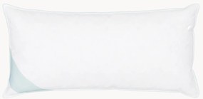 Donzen kussen Premium, medium