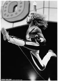 Poster Van Halen - David Lee Roth 1980, (59.4 x 84.1 cm)