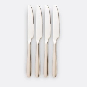 Set van 4 messen in inox, Ebano