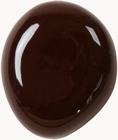 Wandhaak Fossil
