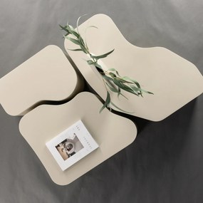 Organische Salontafel Set Van Drie