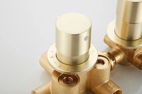 Saniclear Plus thermostaatkraan afbouwdeel geborsteld messing mat goud - nieuw