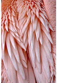Goossens Schilderij Pink Feather, 148 x 98 cm