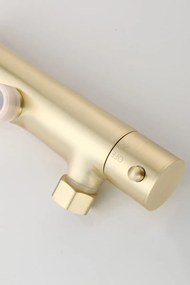 Saniclear Brass Pro opbouw regendouche geborsteld messing / mat goud 20cm hoofddouche staaf handdouche
